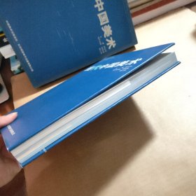 当代中国美术（有函套）