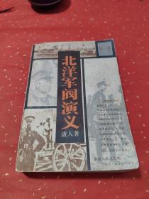 北洋军阀演义 第一卷
