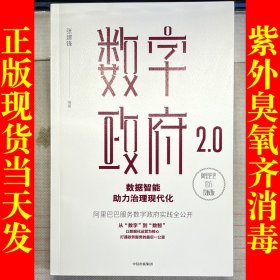 数字政府2.0：数据智能助力治理现代化