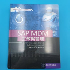 SAP MDM 主数据管理