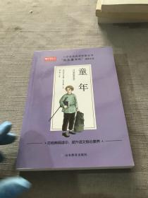 童年小学基础阅读配套丛书：快乐读书吧六年级