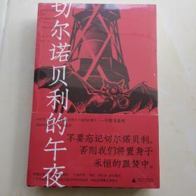 切尔诺贝利的午夜（《纽约时报》《时代周刊》年度图书）