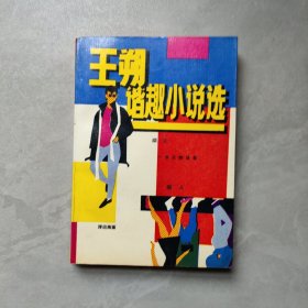 王朔谐趣小说选