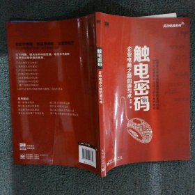 实战电商系列·触电密码：企业电商之路的道与术（全彩）