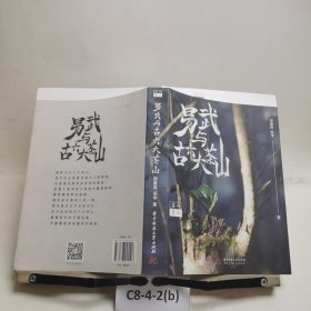 茶叶复兴：易武与古六大茶山
