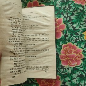 八极游龙