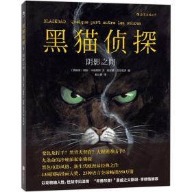 黑猫侦探:1:1:阴影之间:quelque part entre les ombres 外国幽默漫画 (西)胡安·卡纳莱斯文 新华正版