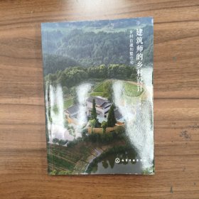 建筑师的乡村设计：乡村自建别墅住宅