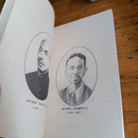 陈氏嫡传蔡李佛小梅花拳