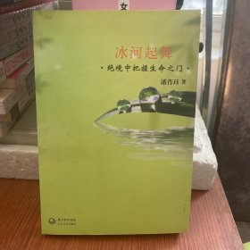 冰河起舞：绝境中把握生命之门