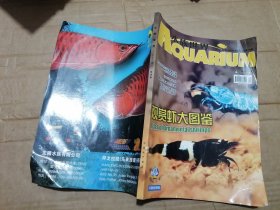 水族世界2012 4 总第54期