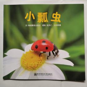 小瓢虫