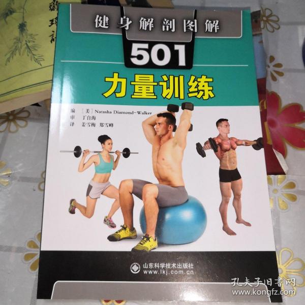 健身解剖图解501：力量训练