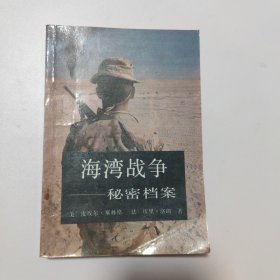海湾战争_秘密档案