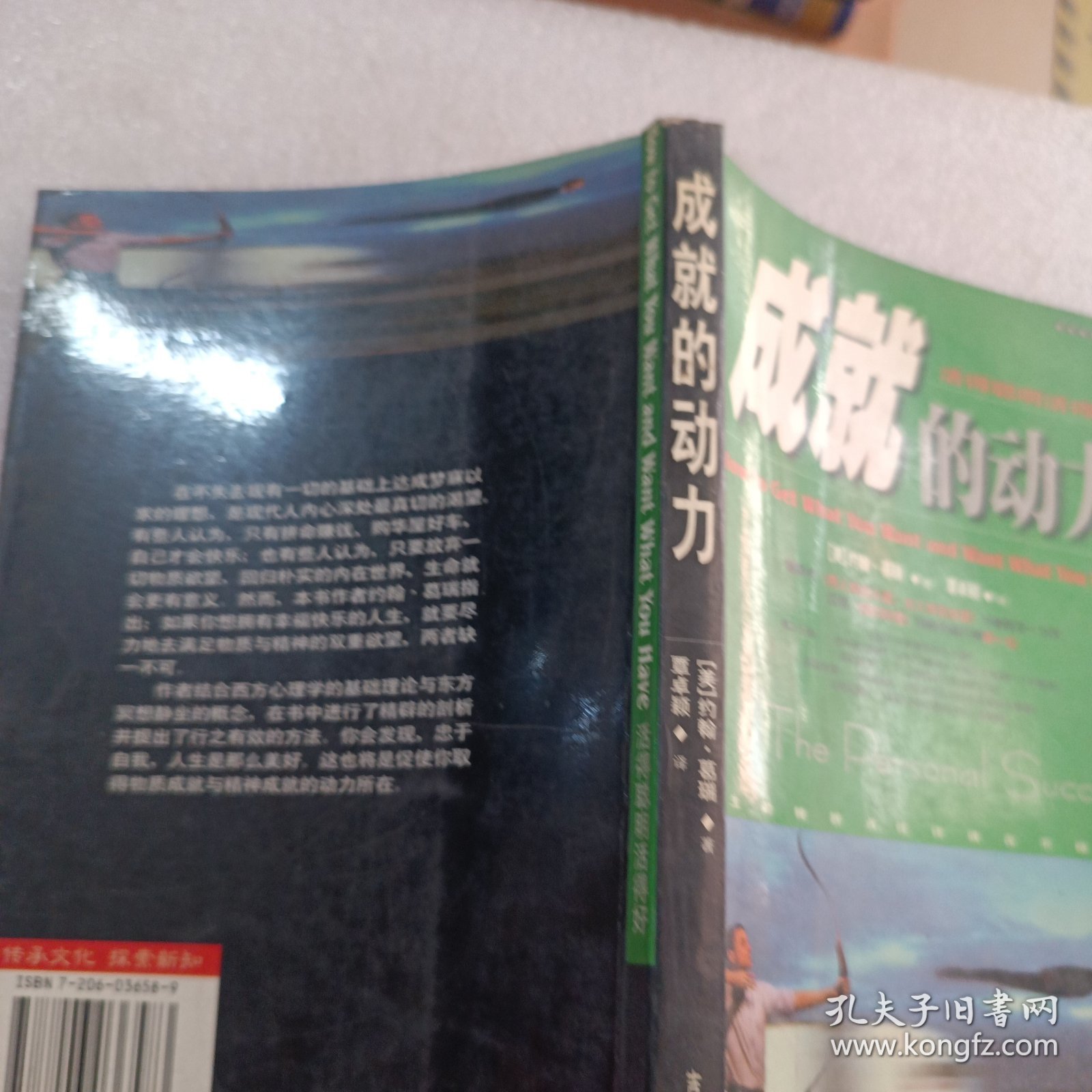 成就的动力:活得聪明活得好