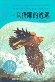 一只獵雕的遭遇 動物小說大王沈石溪品藏書系