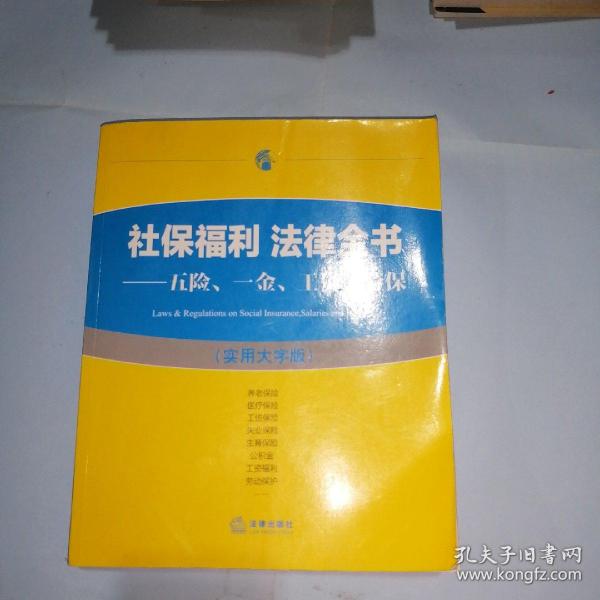 社保福利 法律全书：五险、一金、工资、劳保（实用大字版）