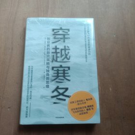 穿越寒冬:《让大象飞》作者的全新破冰力作 全新