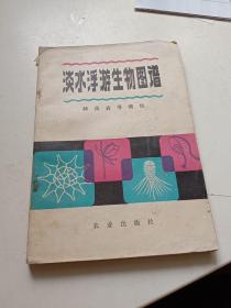 淡水浮游生物图谱