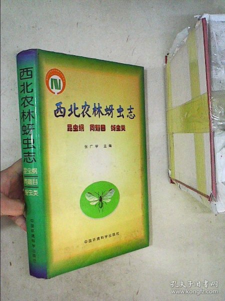 西北农林蚜虫专：昆虫纲、同翅目、蚜虫类