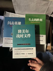 二战德军三大文件：失去的胜利 隆美尔战事文件 闪击英雄 三册合售 包邮