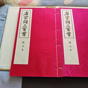唐宋词三百首:图文本