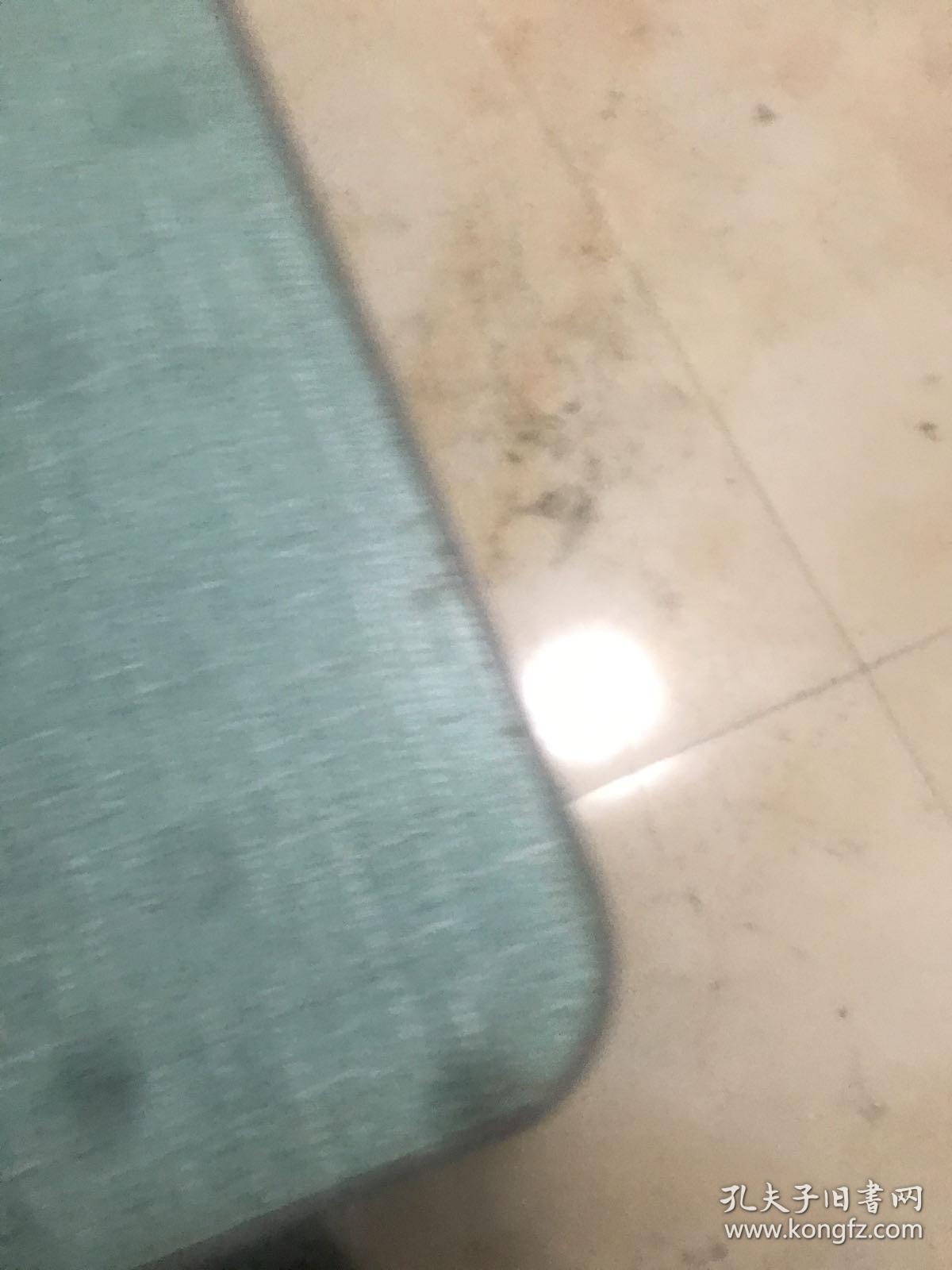 心灵的激情 （上下册）