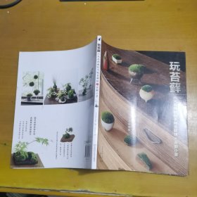 玩苔藓：六大名师教你手制苔藓球和苔藓小景