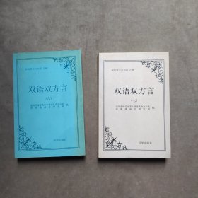 双语双方言书系 乙种 双语双方言（六、七）