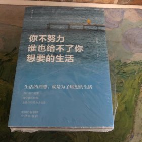 【正版·全５册】致奋斗者-你不努力谁也给不了你想要的生活+将来的你一定感谢现在拼命的自己+余生很贵，请勿浪费+别在吃苦的年纪选择安逸+你若不勇敢谁替你坚强