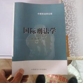 国际刑法学/中青年法学文库