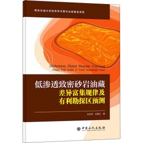 低渗透致密砂岩油藏差异富集规律及有利勘探区预测