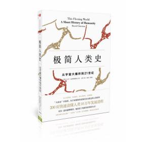 极简人类史：从宇宙大爆炸到21世纪