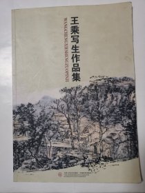 1964（全网超低价！）稀缺精品好画集：8开本《王乘写生作品集》（内页品相好！），天津人民美术出版社，2009年1版1印，仅印2000册，内有全国山水名家王乘精品力作60多幅，内页品相好，值得选购！