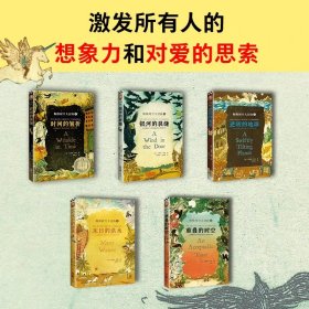 梅格时空大冒险（套装全5册）（含《时间的折皱》[又名《时间的皱折》《时间的皱纹》]、《银河的裂缝》等）