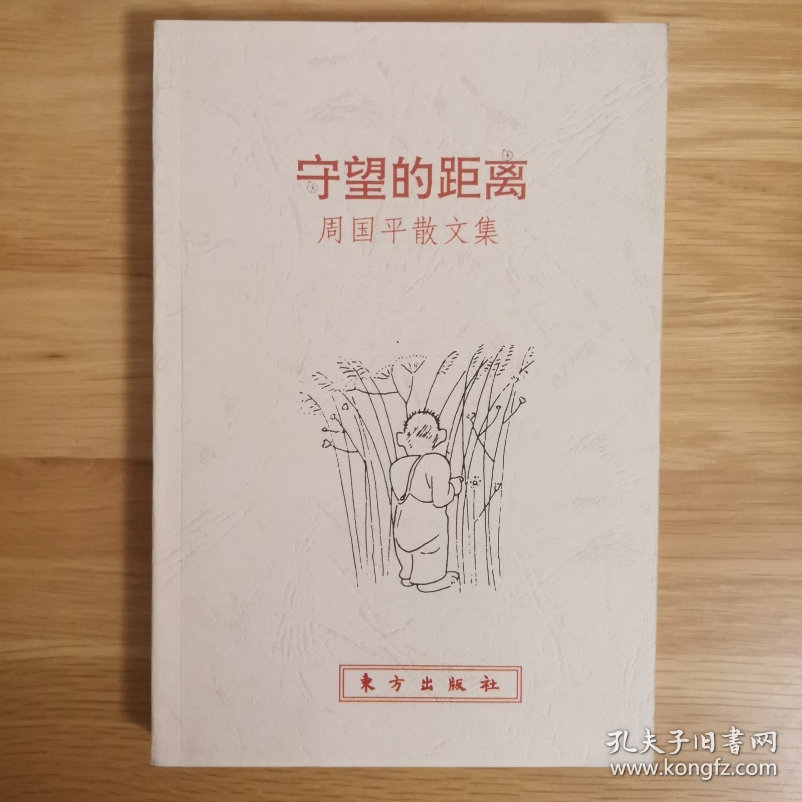 守望的距离：周国平散文集