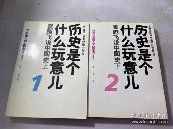 历史是个什么玩意儿2：袁腾飞说中国史下