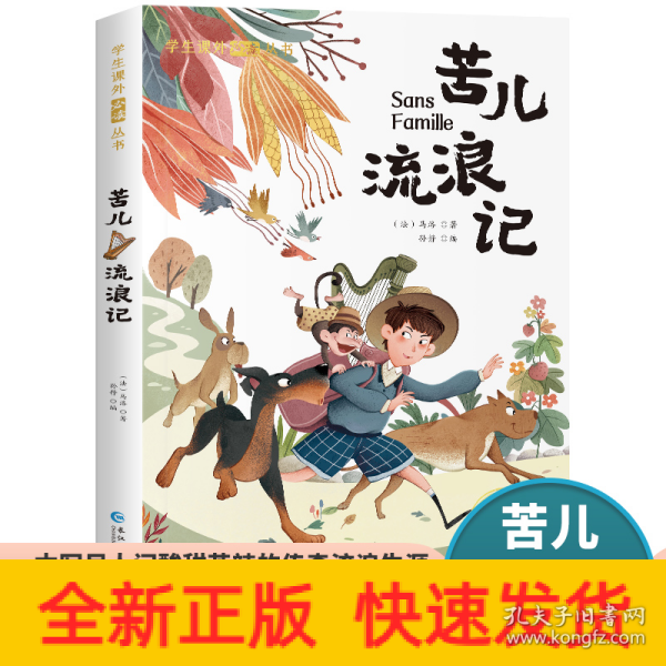 苦儿流浪记 彩图注音版 写尽人间酸甜苦辣的传奇流浪生涯外国经典儿童文学书籍 小学生课外阅读丛书