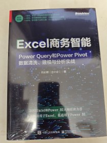 Excel商务智能：Power Query和Power Pivot数据清洗、建模与分析实战