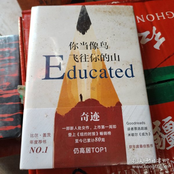 你当像鸟飞往你的山