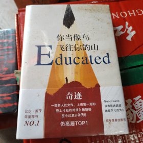 你当像鸟飞往你的山