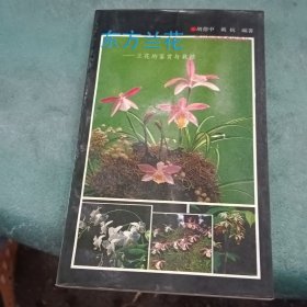 东方兰花