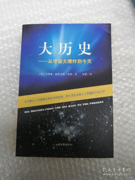 大历史：从宇宙大爆炸到今天