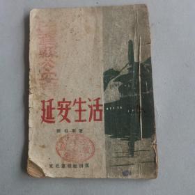延安生活，品如圖，