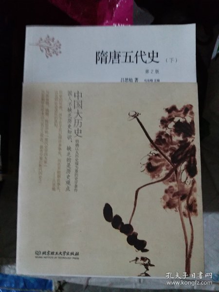 中国大历史——隋唐五代史（套装上、下册）（第2版）