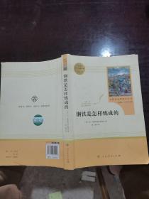 统编语文教材配套阅读 八年级下：钢铁是怎样炼成的/名著阅读课程化丛书