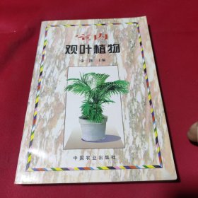 室内观叶植物