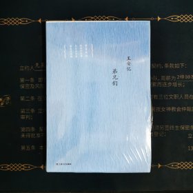 弟兄们：王安忆中篇小说集