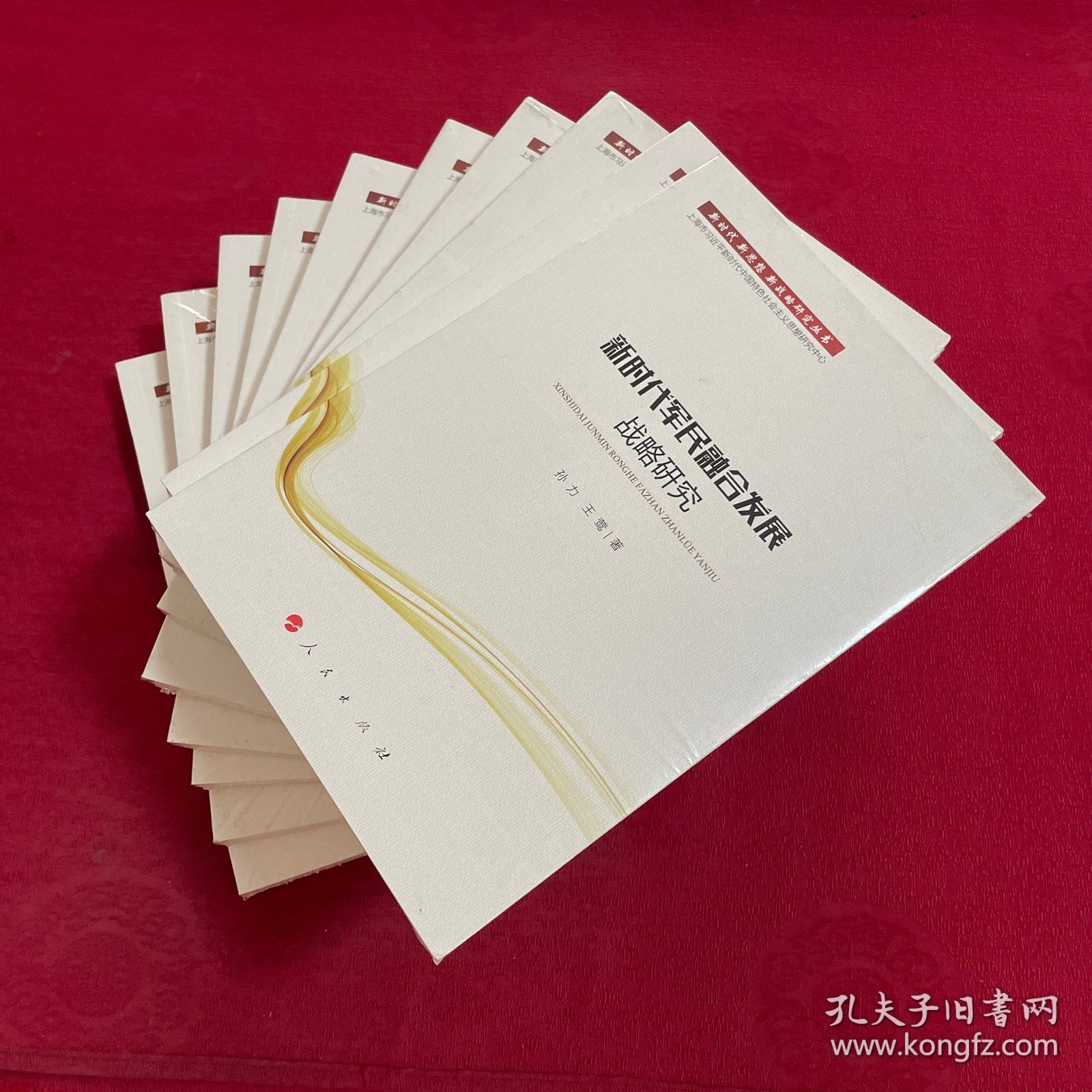 新时代 新思想 新战略研究丛书 全10册