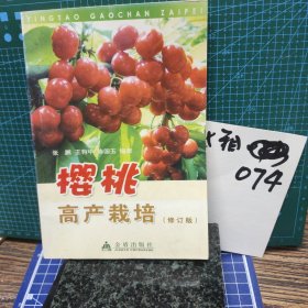 樱桃高产栽培